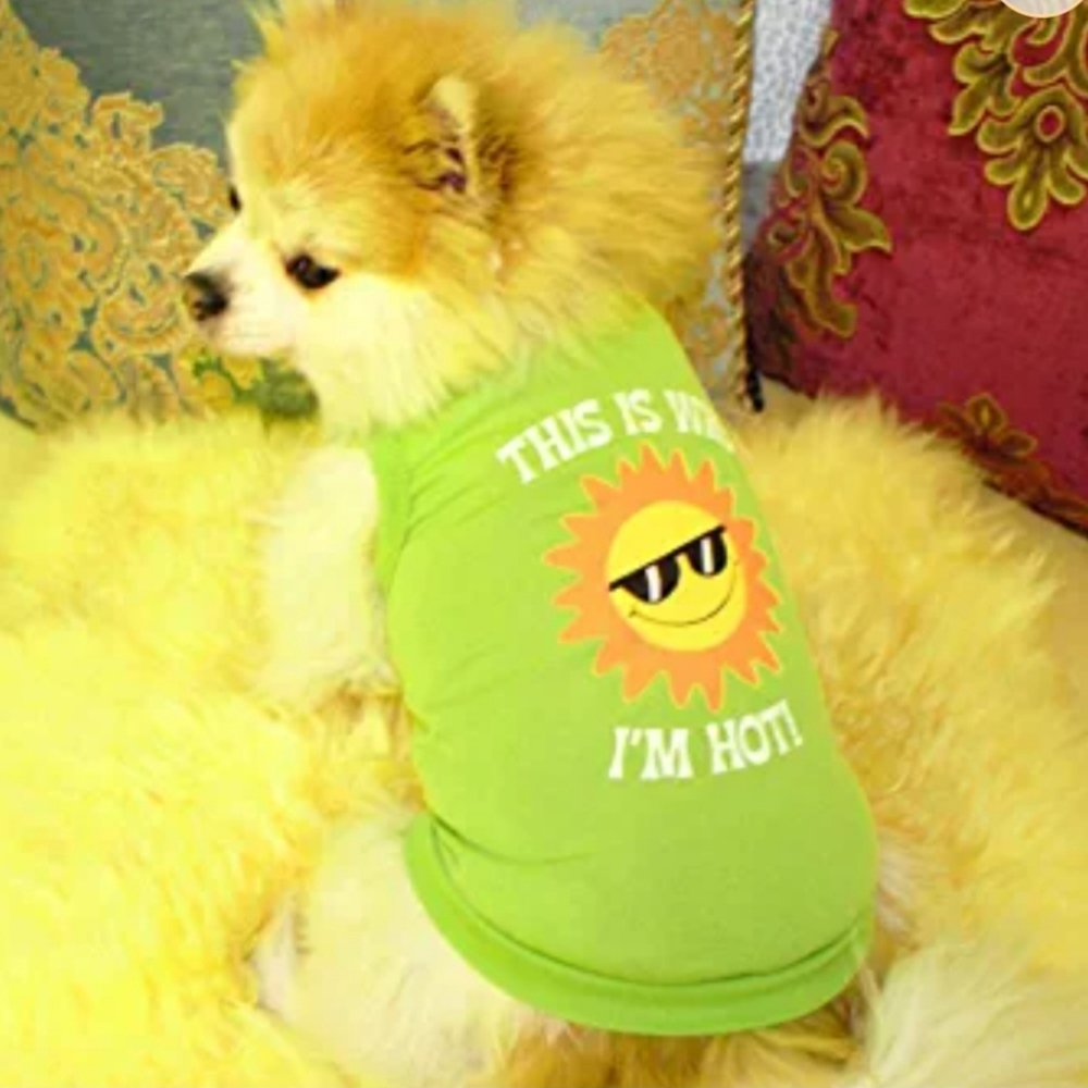 Dog Yellow Sun Top